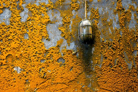 Concrete Pavement With Orange Molds