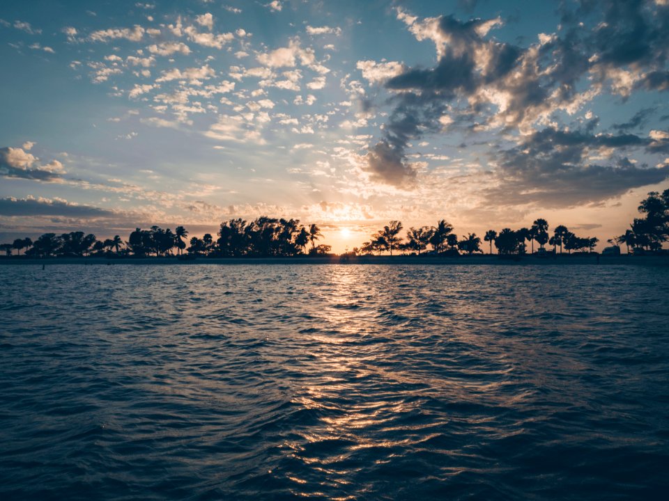 Silhouette Of Trees Near Body Of Water During Sunset