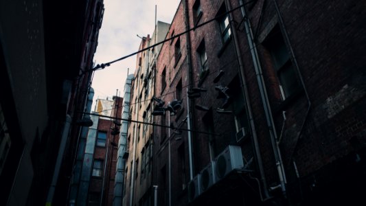 Low Angle Photo Of Brown High Rise Building