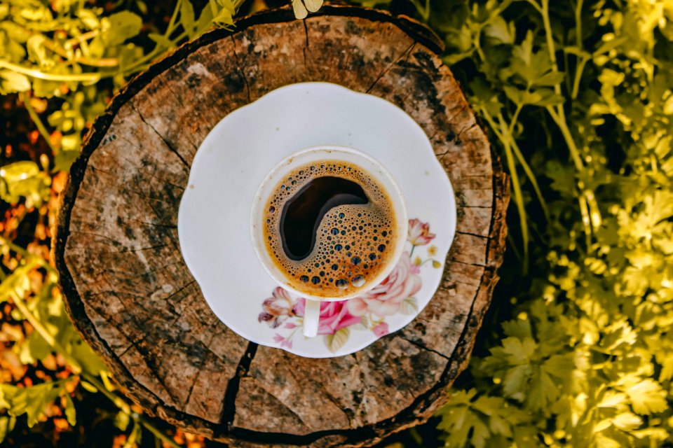 White Ceramic Saucer With Water photo