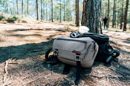 Photograph Of Two Duffel Bags Under The Tree In Forest photo