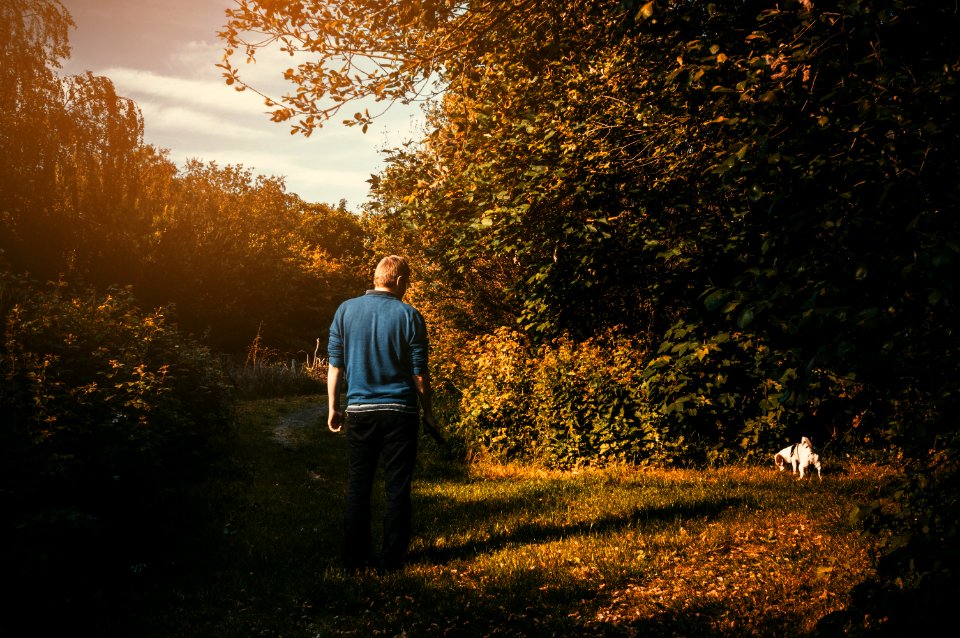 Man Wearing Blue Jacket Looking Dog Peeing