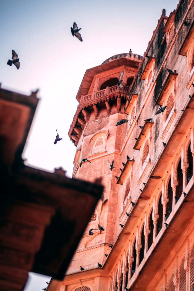 Brown Concrete Building With Birds photo