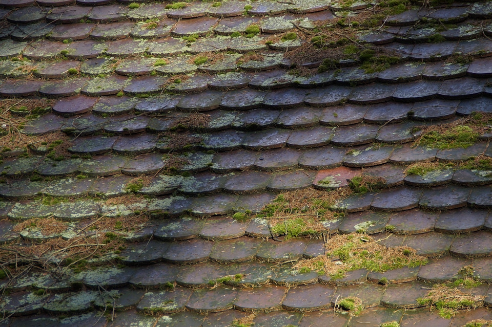 Texture background old