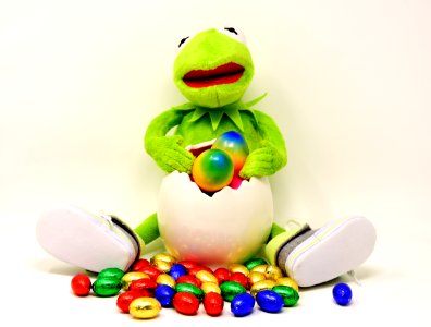 Vertebrate Stuffed Toy Toy Plush