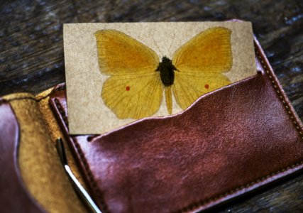 Brown Leather Card Wallet photo