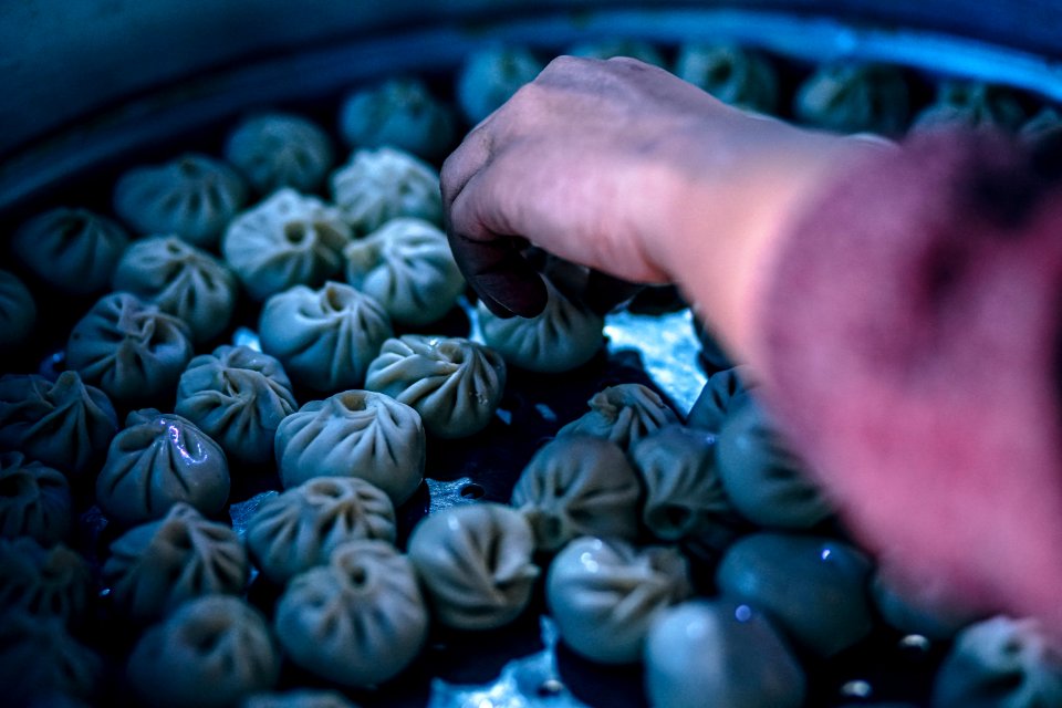 Person Holding Dumplings