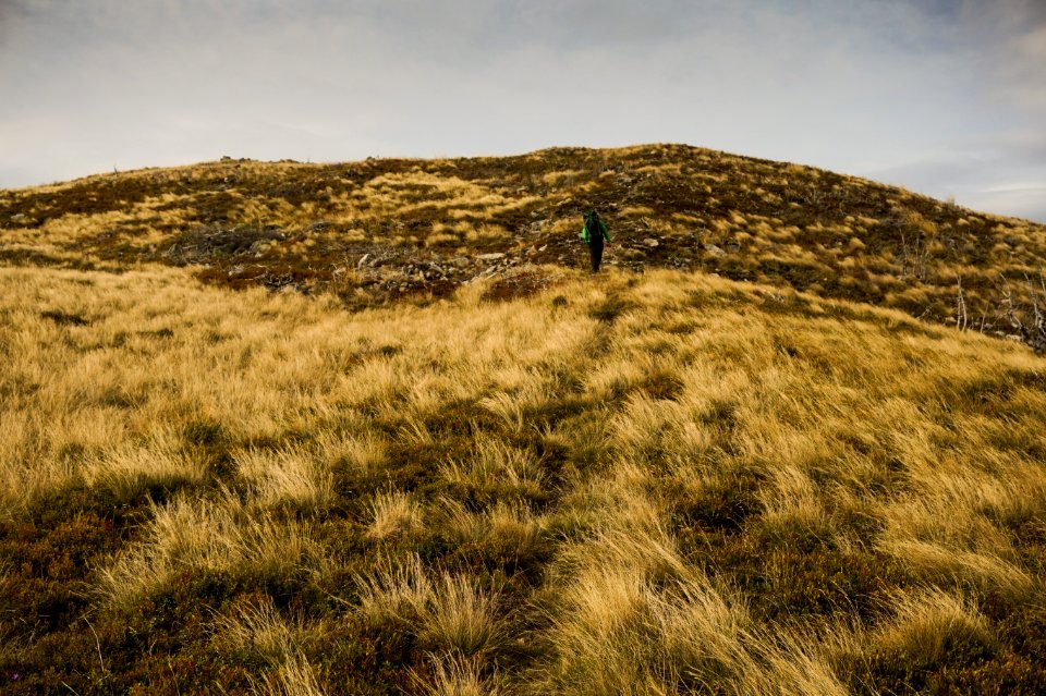 Landscape Photography Of Green Grass Field