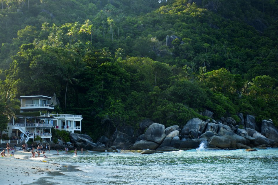 People Near Seashore