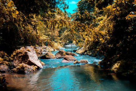 Body Of Water In The Middle Of Forest