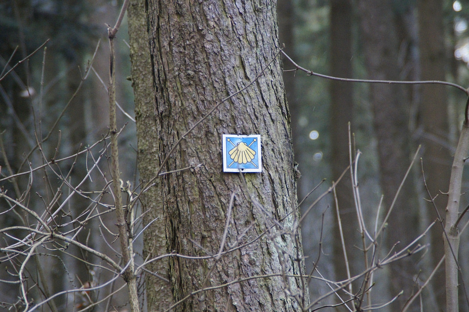 Shield trail pilgrimage