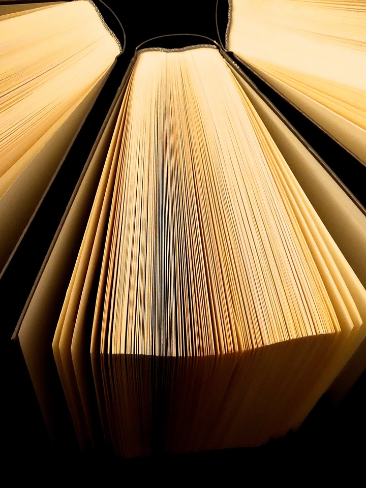 Bookworm lesenarr literature