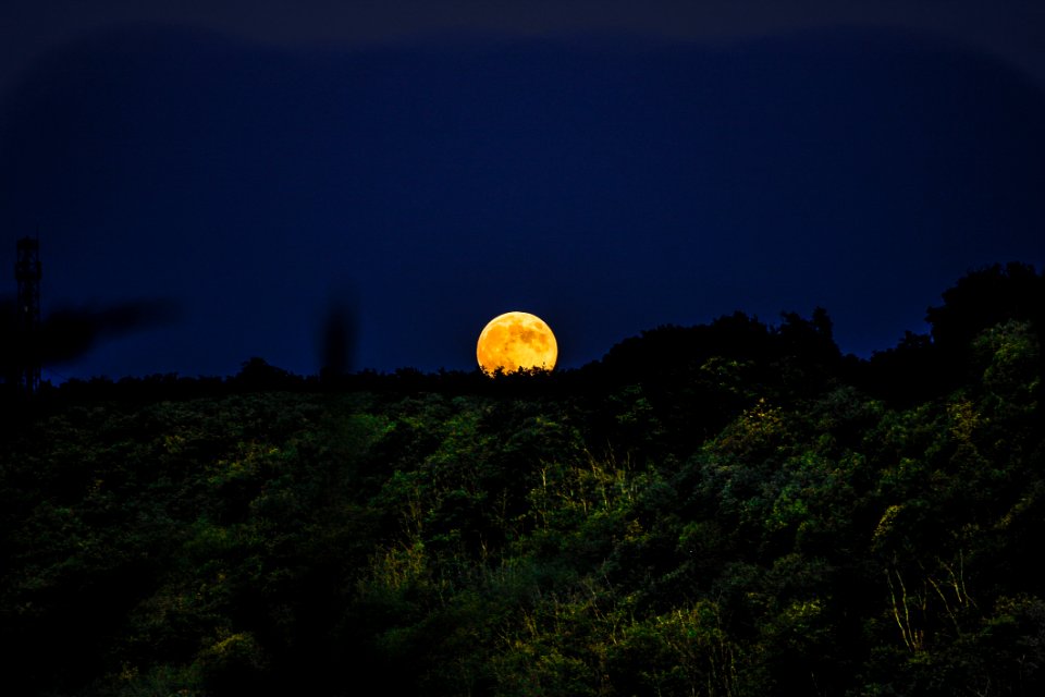 Nature Sky Moon Moonlight