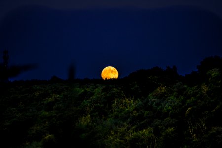 Nature Sky Moon Moonlight photo