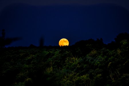 Nature Sky Moon Moonlight