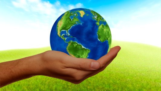 Green Sky Globe Grass