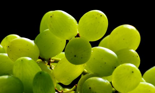 Grape Fruit Grapevine Family Seedless Fruit