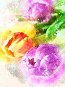 Flower Watercolor Paint Pink Purple