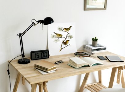 Brown Wooden Desk With Table Lamp photo