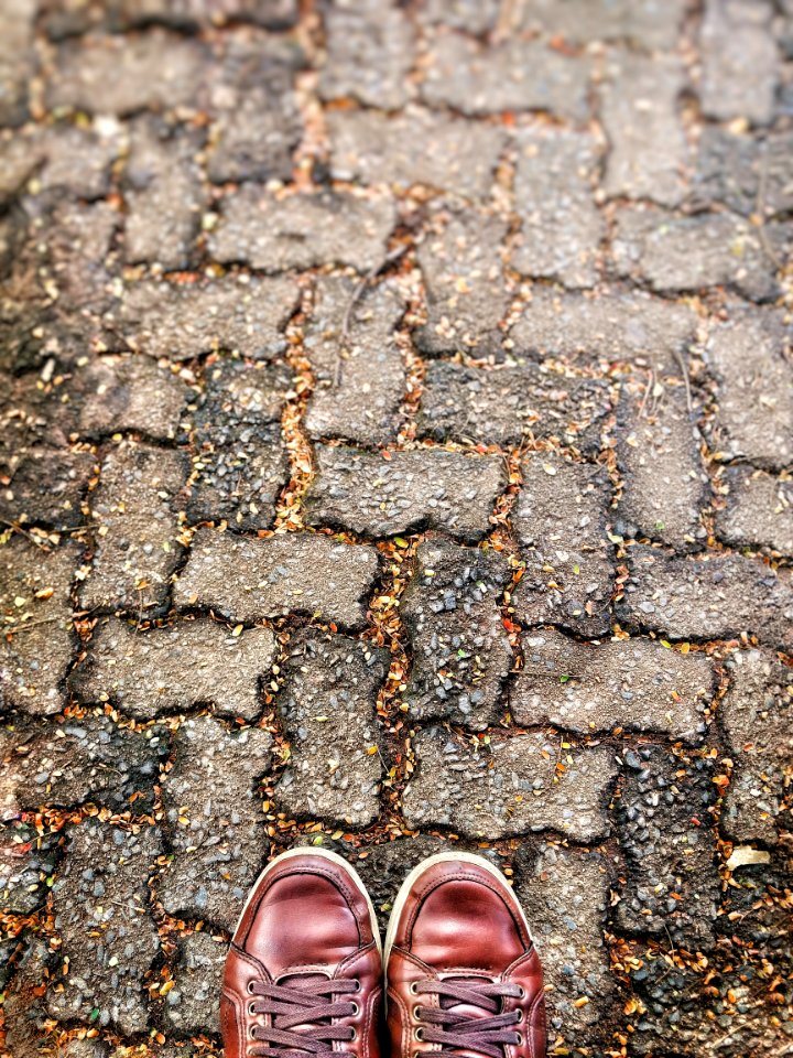 Pair Of Brown Shoes