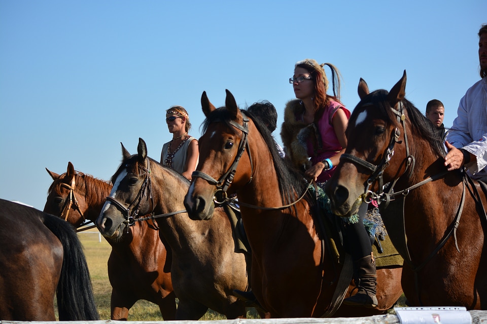 Culture tradition riders