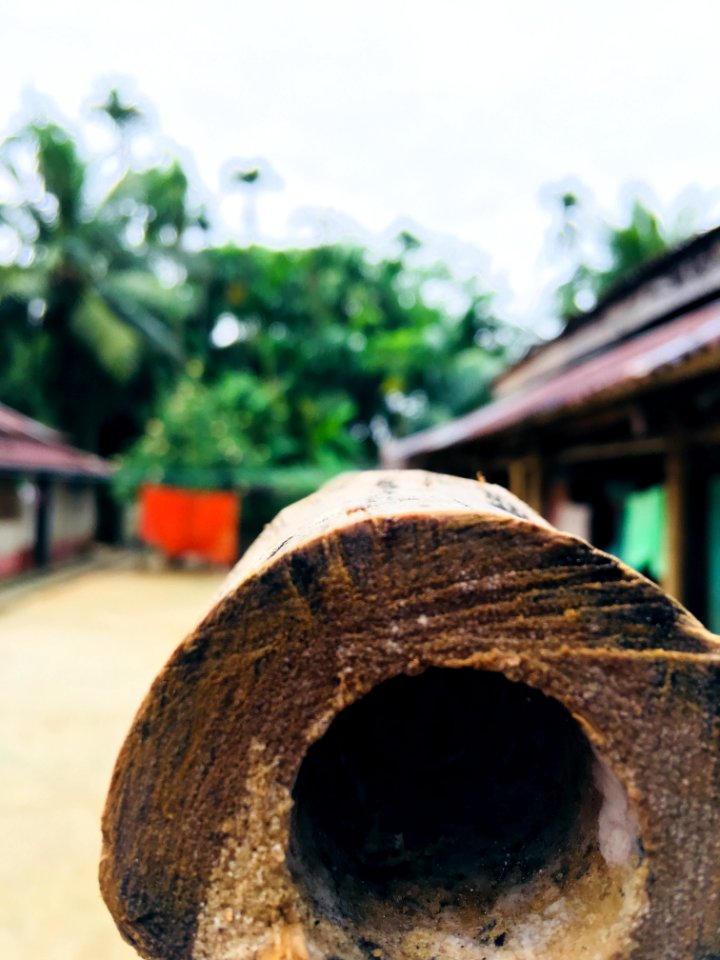 Brown Bamboo