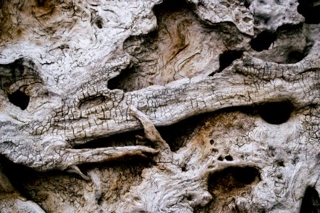 Weathered Wood