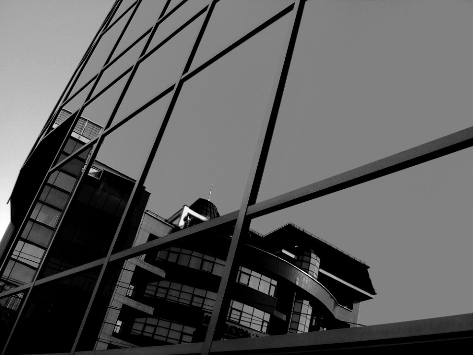 Grayscale Photo Of Glass Curtain Building photo