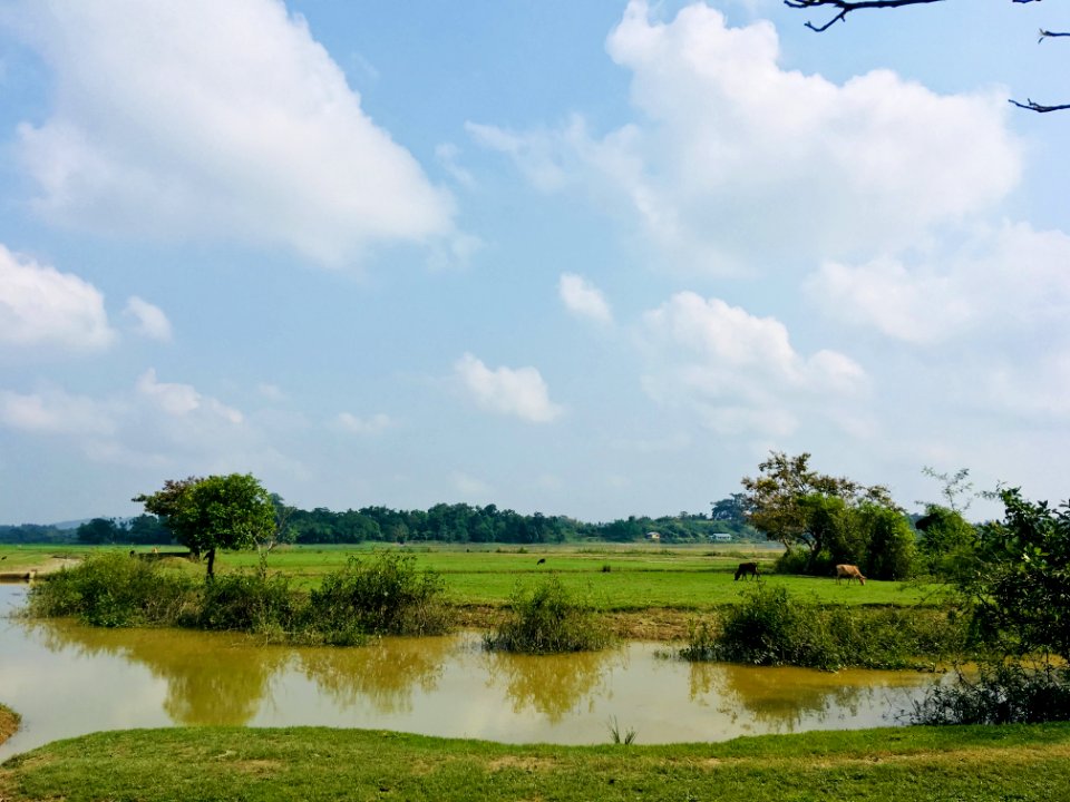 Landscape Photography Of Body Of Water Surrounded By Plants And Trees