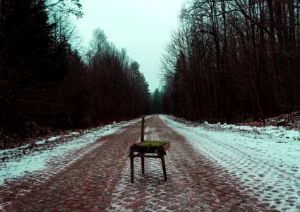 Photography Of Broken Brown Chair In The Middle Of Road Surrounded By Trees photo