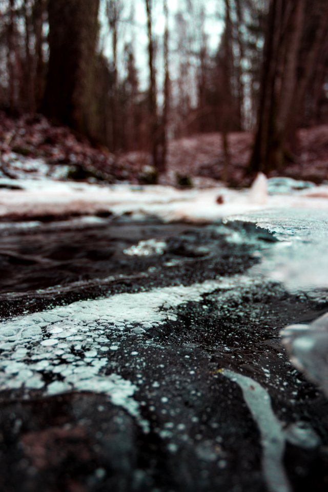 Shallow Focus Photo Of Gray Ground