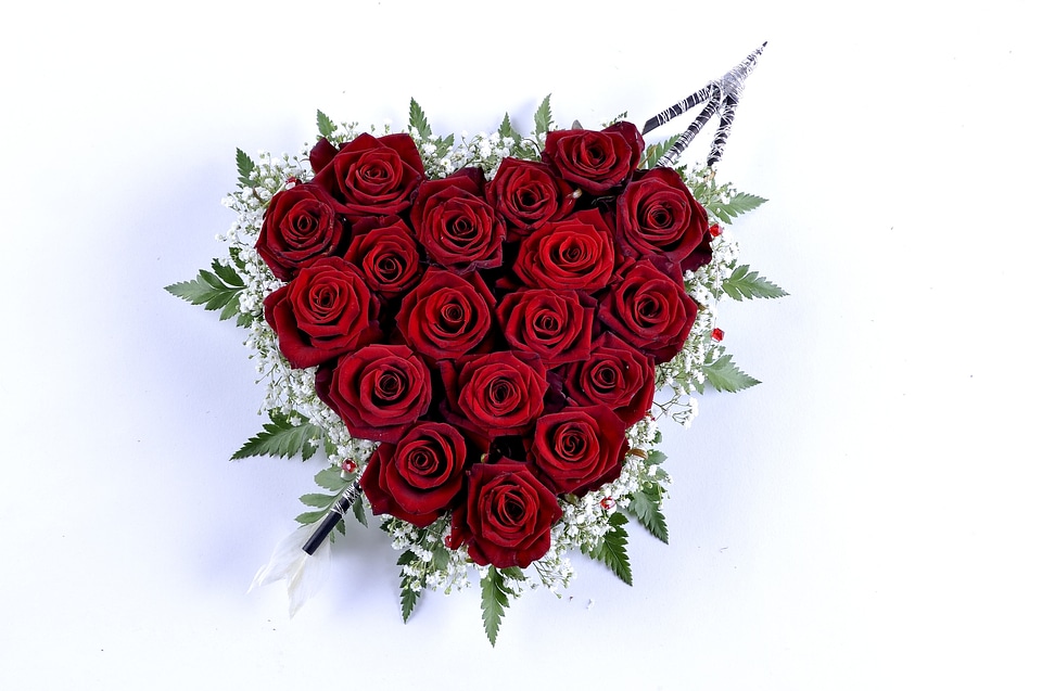 Valentine's day flower flowers