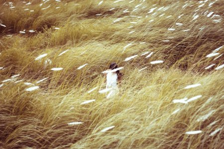 Woman Wearing White Dress Standing In The Middle Of Grasses photo