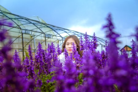 Woman Standing Behind Purple Petaled Flowers photo