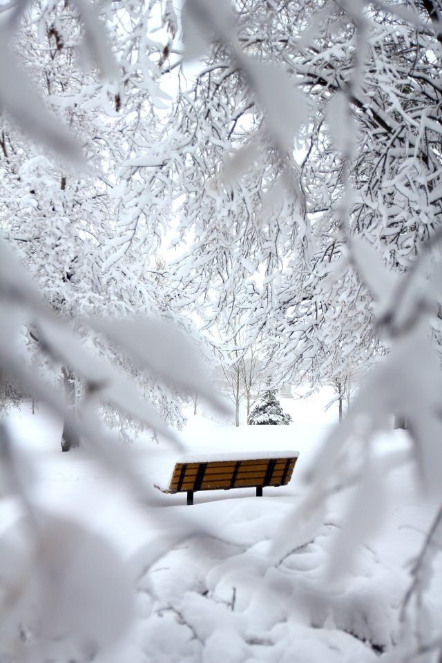 Brown Outdoor Bench With Snow On Top