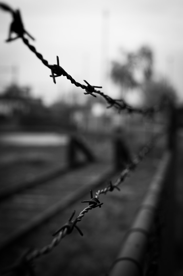 Fence border spikes photo