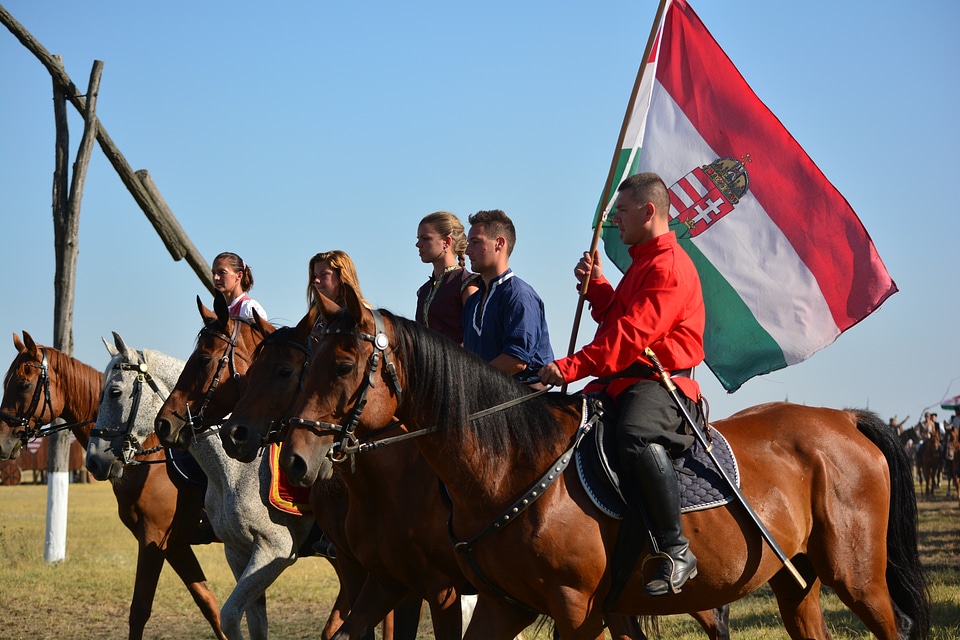 Culture tradition riders