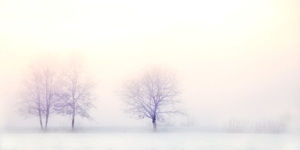 Winter Fog Freezing Sky photo