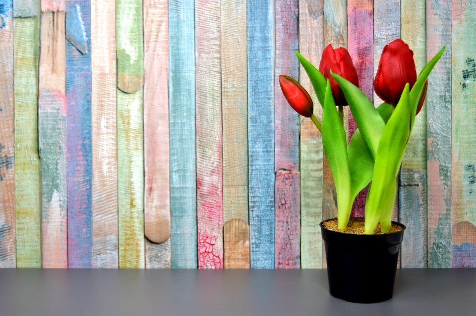 Flower Flowerpot Plant Floristry
