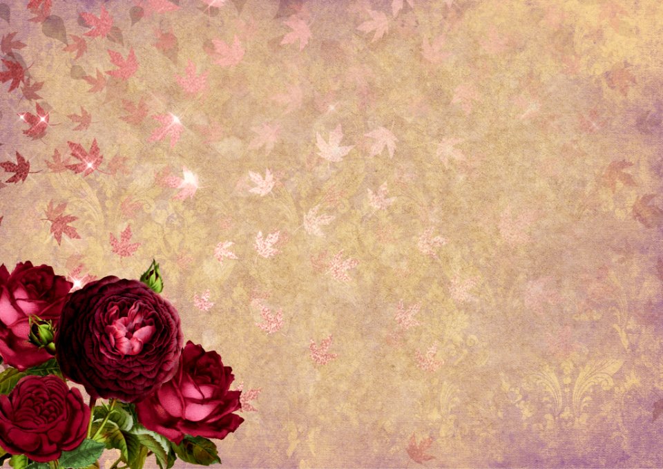 Flower Pink Purple Petal