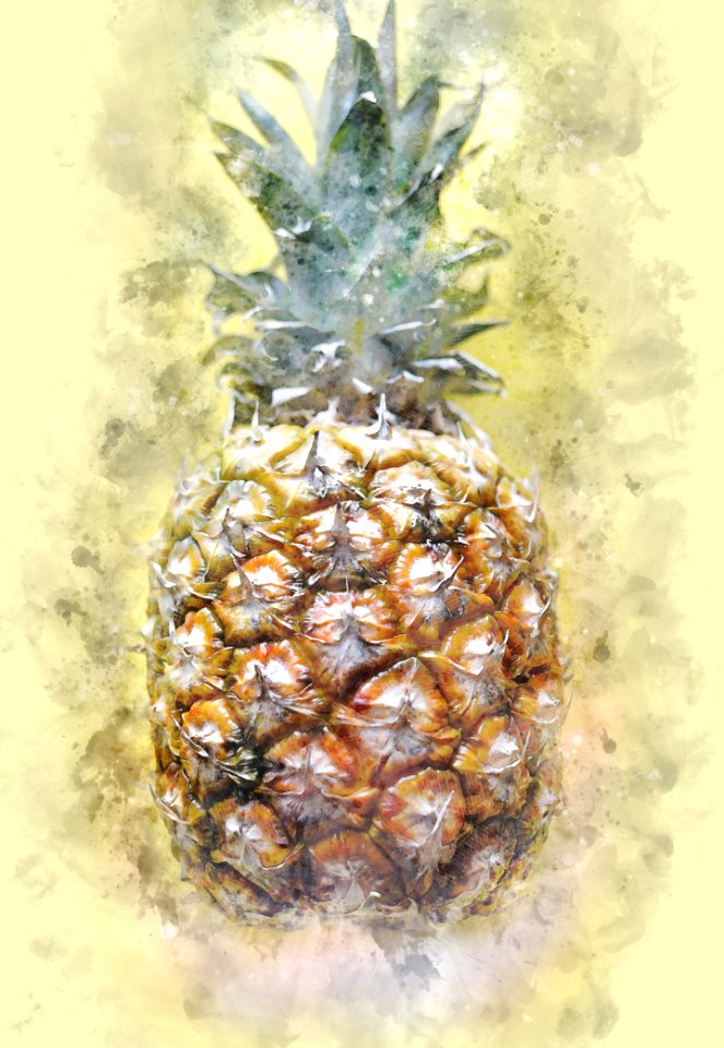 Ananas Pineapple Fruit Plant