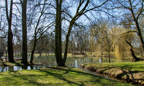 Water Nature Waterway Tree photo