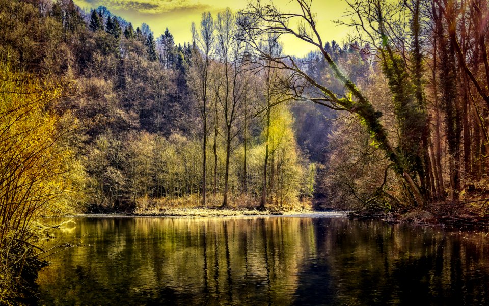 Reflection Water Nature Body Of Water