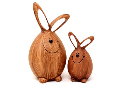 Rabbit Rabits And Hares Domestic Rabbit Product Design