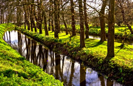 Reflection Water Waterway Nature photo