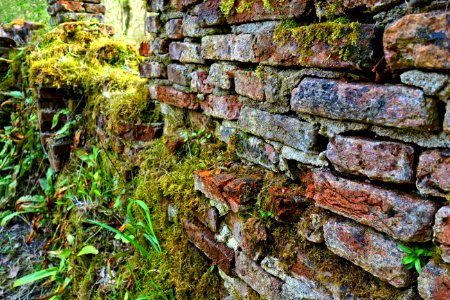 Wall Stone Wall Rock Moss photo
