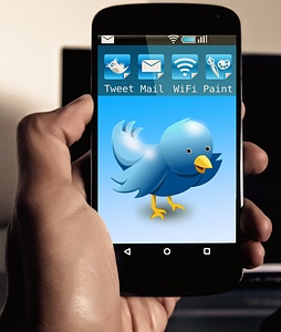 Chirrup tweet smartphone