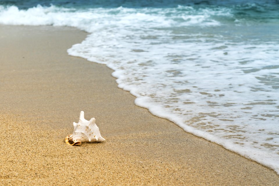 Sea Shore Beach Ocean