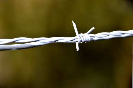Wire Fencing Barbed Wire Close Up Macro Photography photo