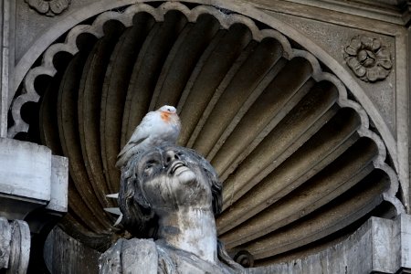 Stone Carving Sculpture Statue Pigeons And Doves photo